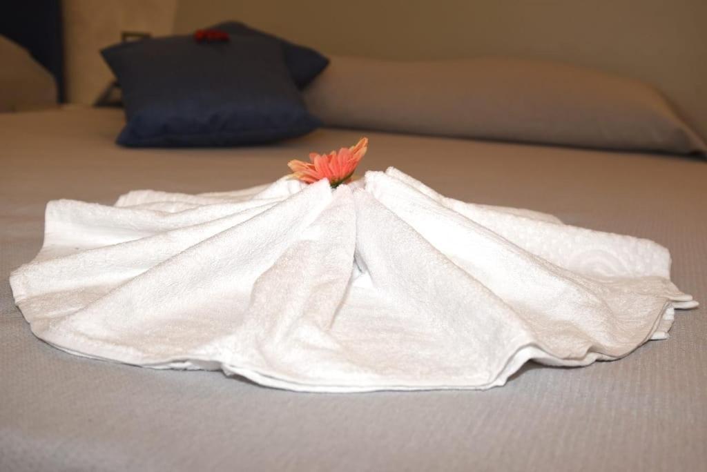 Angelo Bianco Appartment 3 ポルト・チェザーレオ エクステリア 写真